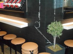 DSCN1059.jpg
